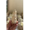Pain de sucre doré